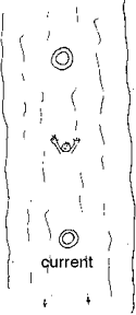 drawing of a person and life preservers in the water